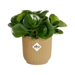 Outlet ELHO Cache-pot vibes fold Ø14 cm