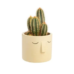 Outlet Cactus varié pot céramique - Pot 9 cm de diamètre