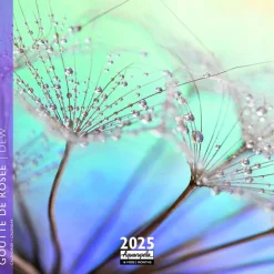 Best AQUARUPELLA Calendrier 2025 goutte de rosée coloris multicolore - 16,5 x 16,5 cm