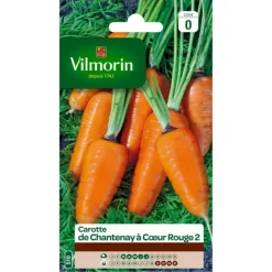 VILMORIN Carotte de Chantenay à cœur rouge 2 - graines à semer