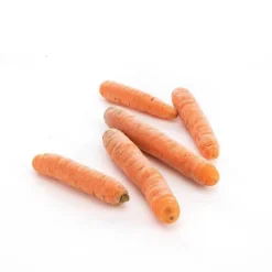 Hot Carotte lavée bio de France ou Italie - Prix au kg