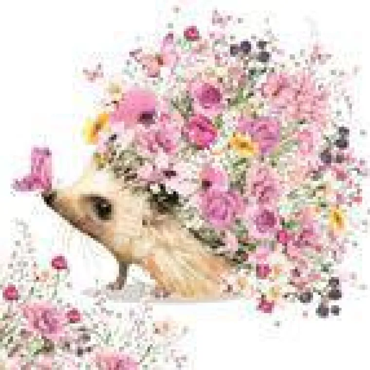 New PICTURA Carte double multicolore Deci dela