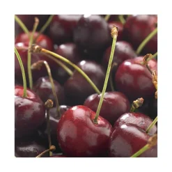 Online BOTANIC® Cerisier Big. De La Saint Jean ® Bio. Le pot de 15 litres