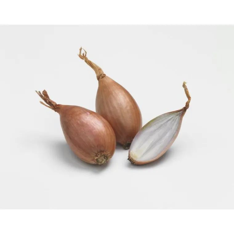 Discount BULBEO Échalote elisor filet de 500 g calibre 15 à 35