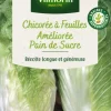Best VILMORIN Chicorée Sauvage Pain de Sucre - graines à semer