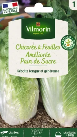 Best VILMORIN Chicorée Sauvage Pain de Sucre - graines à semer
