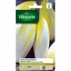 Clearance VILMORIN Chicorée Witloof Zoom HF1 - graines à semer