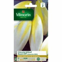 Clearance VILMORIN Chicorée Witloof Zoom HF1 - graines à semer