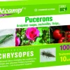 Outlet DECAMP Chrysopes 100 larves