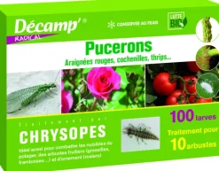 Outlet DECAMP Chrysopes 100 larves