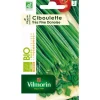 Best VILMORIN Ciboulette très fine Danoise Bio - graines à semer