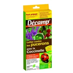 Online DÉCAMP' Coccinelles Adalia Bipunctata carnet