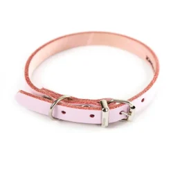 Online MARTIN SELLIER Collier en cuir rose pour chien 1,2x33 cm