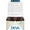 Hot DEVA Complément alimentaire fleur de Bach châtaignier bio - 15 ml