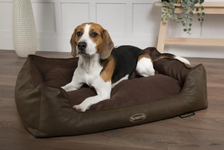 Outlet SCRUFFS Corbeille à mémoire de forme pour chien et chat Hilton – Taille S