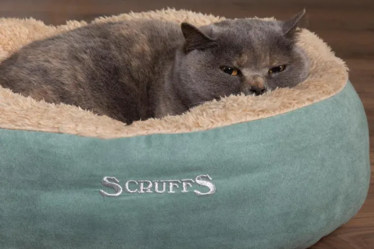 Clearance SCRUFFS Corbeille pour chat coloris vert Cosy – Ø 45 cm