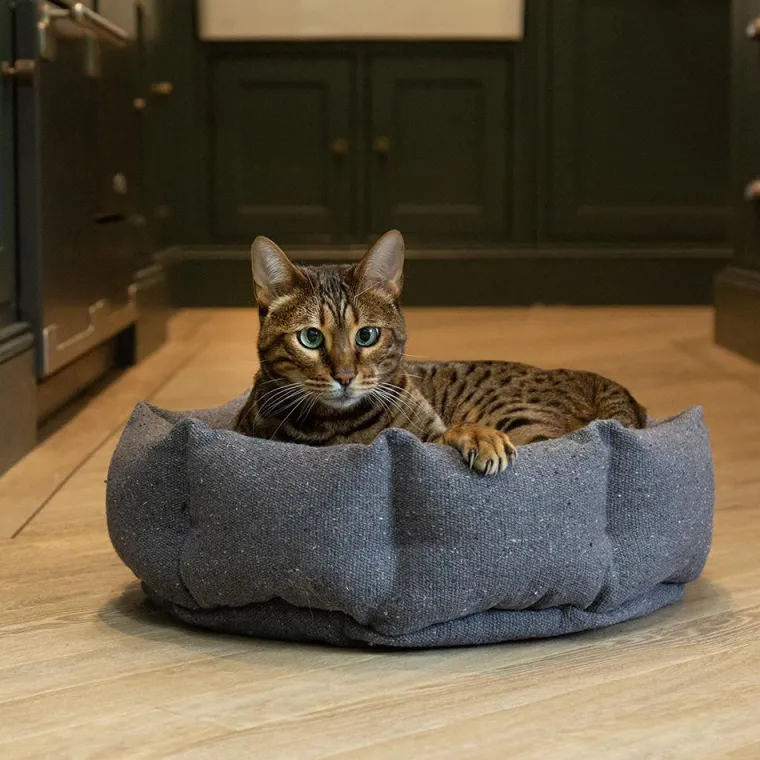 Best SCRUFFS Corbeille pour chat en tissu gris anthracite Eco Eden - 45 cm