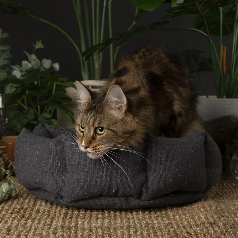 Best SCRUFFS Corbeille pour chat en tissu gris anthracite Eco Eden - 45 cm