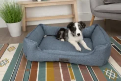 Online SCRUFFS Corbeille pour chien bleu Manhattan – Taille XL