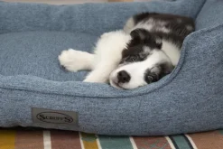 Online SCRUFFS Corbeille pour chien bleu Manhattan – Taille XL