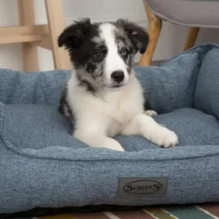 Online SCRUFFS Corbeille pour chien bleu Manhattan – Taille XL