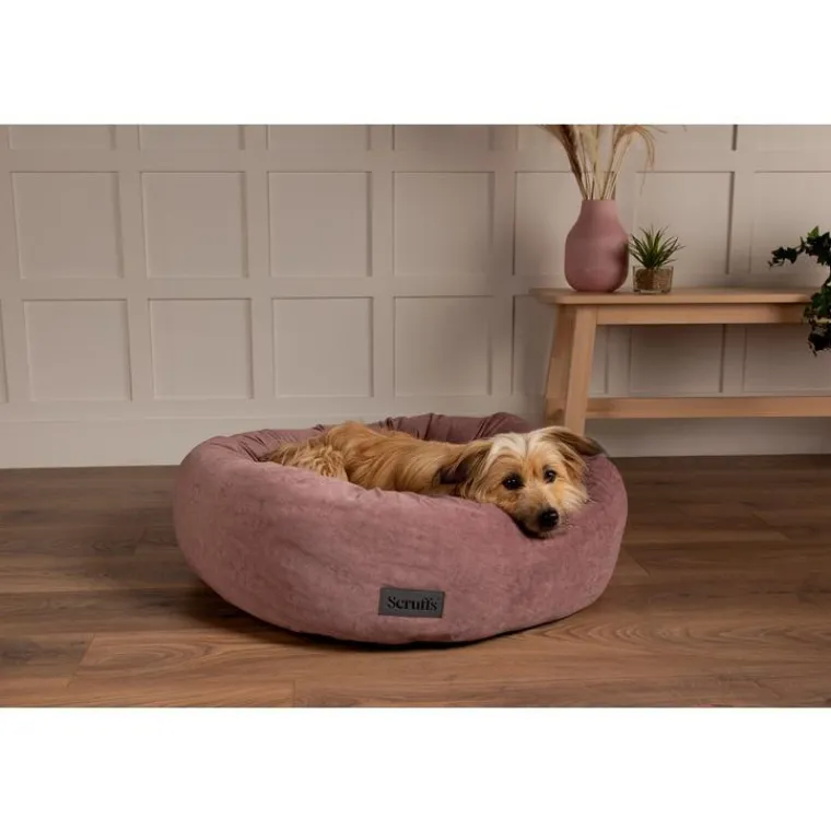 Online SCRUFFS Corbeille pour chien et chat coloris rose Oslo Donut – Taille M