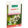 Discount BOTANIC® Coriandre bio - graines à semer (3 m²)