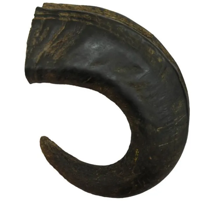 Sale BUBIMEX Corne de buffle pour chien – Taille L