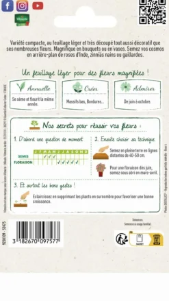 Clearance VILMORIN Cosmos Sensation Nain Varié - graines à semer
