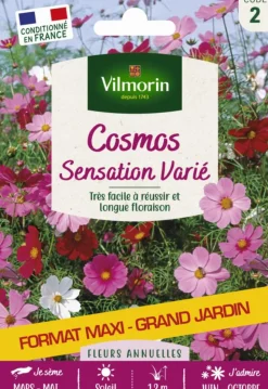 Hot VILMORIN Cosmos Sensation variée Grand jardin Format maxi - graines à semer