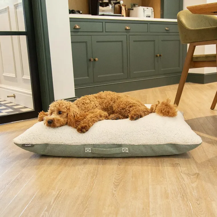 Outlet SCRUFFS Couchage pour chien coloris vert coussin Eco Eden - Taille M 80 x 60 cm