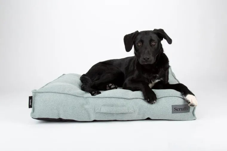 New SCRUFFS Couchage pour chien coloris vert coussin Seattle - Taille L 100 x 70 x 14 cm