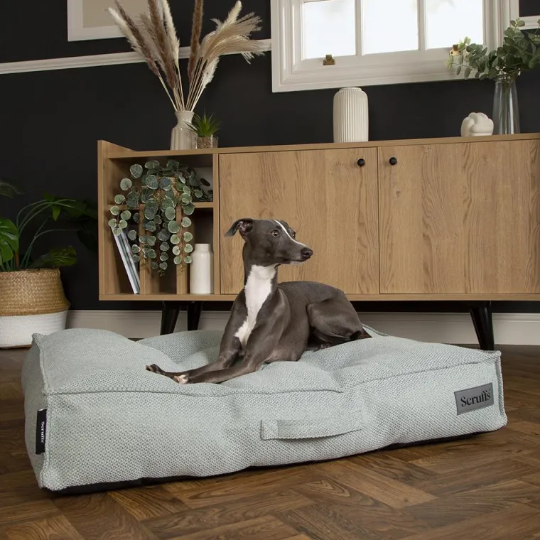 New SCRUFFS Couchage pour chien coloris vert coussin Seattle - Taille L 100 x 70 x 14 cm