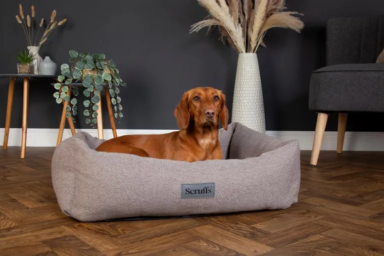 Outlet SCRUFFS Couchage pour chien coloris gris corbeille Ellen - Taille XL 90 x 70 x 18 cm