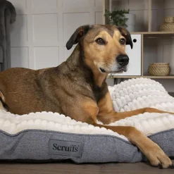 Sale SCRUFFS Couchage pour chien coloris gris coussin Ellen - Taille L 100 x 70 x 10 cm