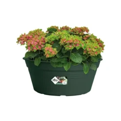 Sale ELHO Coupe living noir Green Basics - Ø 33 cm