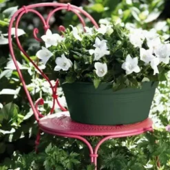 Sale ELHO Coupe living noir Green Basics - Ø 33 cm