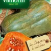 Outlet VILMORIN Courge Musquée Sucrine du Berry - graines à semer