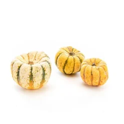 Discount Courge Patidou bio de France - Prix au kg