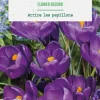 Sale BOTANIC® Crocus en mélange - 10 bulbes