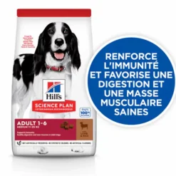 HILL'S Croquette pour chien adulte à l’agneau et au riz - 12 kg