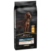 Hot PRO PLAN Croquette pour chien adulte athlétique au poulet – 14 kg