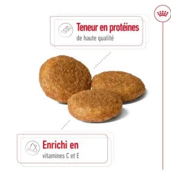 New ROYAL CANIN Croquette pour chien adulte de taille moyenne - 15 kg