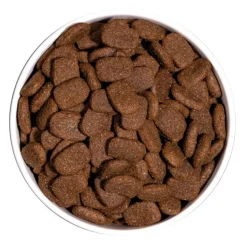 Hot OWNAT Croquette pour chien adulte complet au poulet - 4 kg