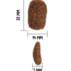 Hot OWNAT Croquette pour chien adulte complet au poulet - 4 kg