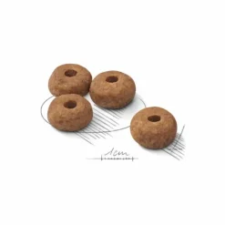 ROYAL CANIN Croquette pour chien adulte stérilisé de taille moyenne - 12 kg
