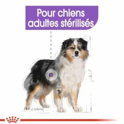 ROYAL CANIN Croquette pour chien adulte stérilisé de taille moyenne - 12 kg