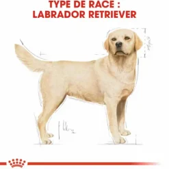 Outlet ROYAL CANIN Croquette pour chien adulte Labrador Retriever - 12 kg