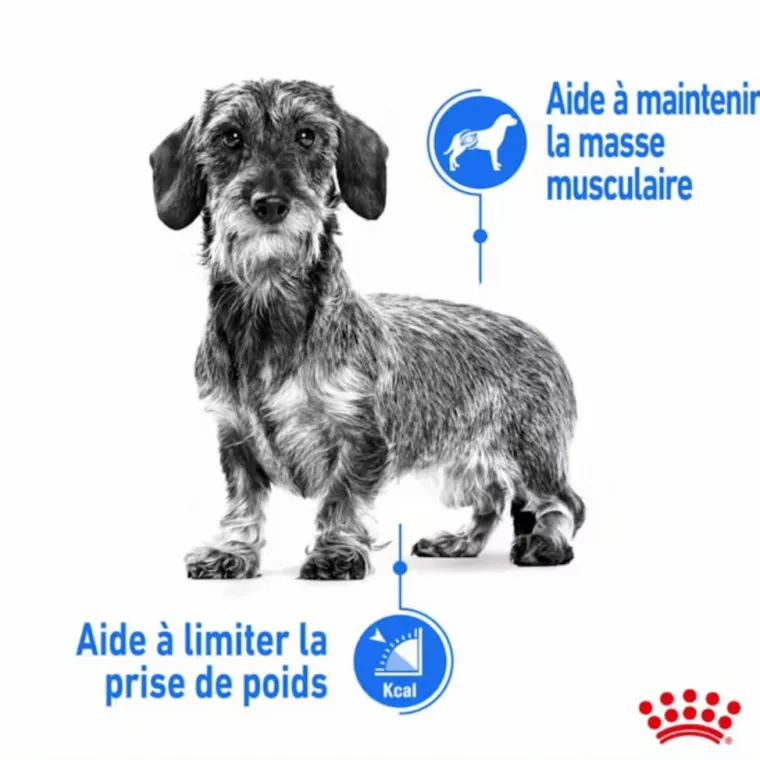 New ROYAL CANIN Croquette pour chien adulte de petite taille light weight care - 3 kg