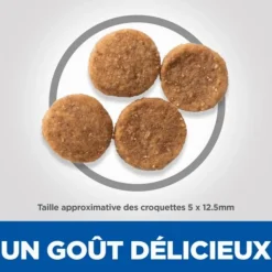Hot HILL'S Croquette pour chien adulte au poulet - 12 kg